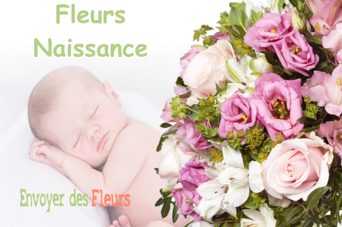 lIVRAISON FLEURS NAISSANCE à ENTRAUNES